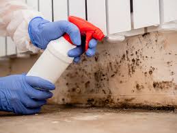 Trusted Awendaw, SC Mold Remediation Experts